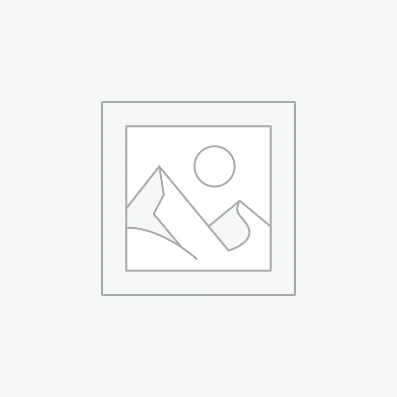 OLED Microdisplay