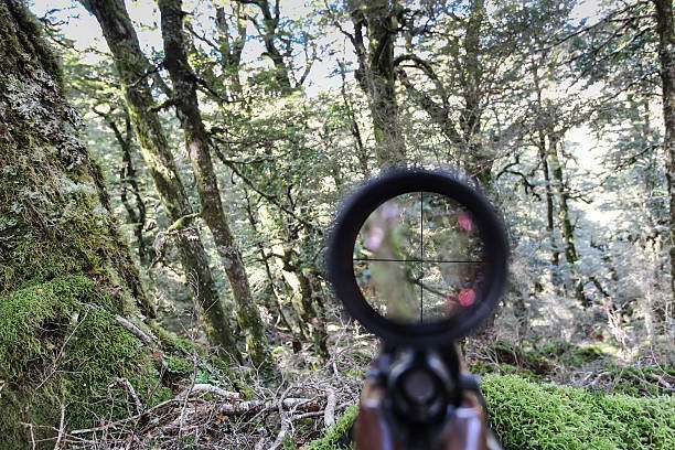 telescopic sight microdisplay.jpg